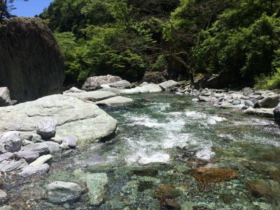 ローソク足トレードロジック