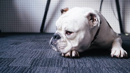 しんたろうのFX勉強会